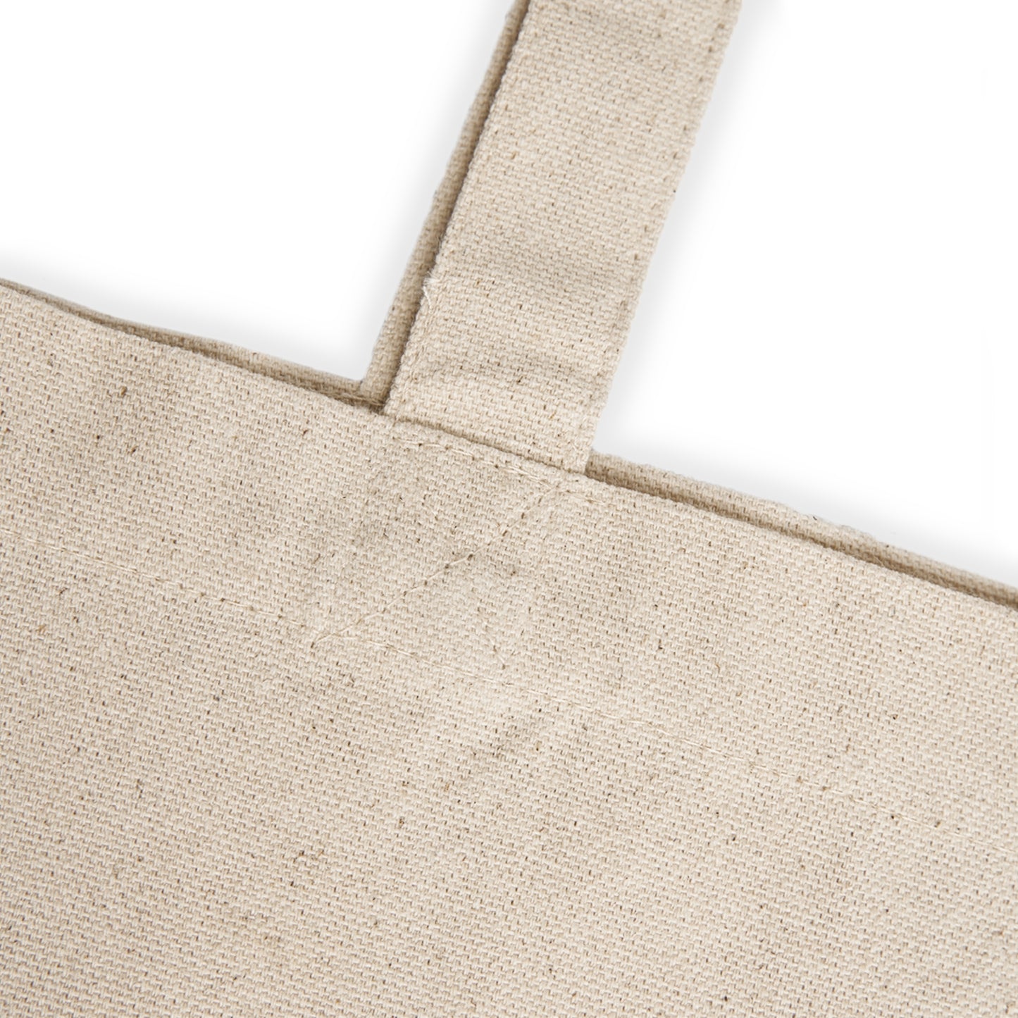 Sealaxing in a Canoe Canvas Tote